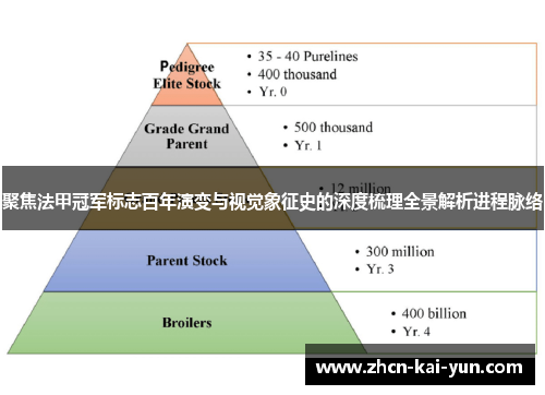 聚焦法甲冠军标志百年演变与视觉象征史的深度梳理全景解析进程脉络