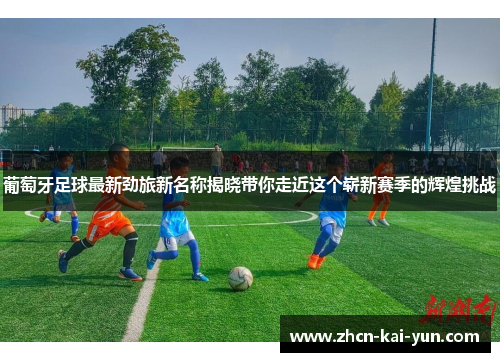葡萄牙足球最新劲旅新名称揭晓带你走近这个崭新赛季的辉煌挑战 葡萄牙足球最新劲旅新名称揭晓带你走近这个崭新赛季的辉煌挑战