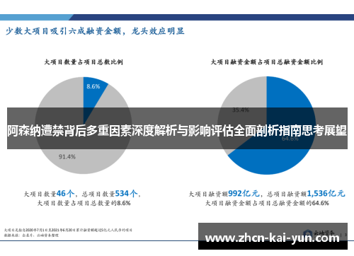 阿森纳遭禁背后多重因素深度解析与影响评估全面剖析指南思考展望 阿森纳遭禁背后多重因素深度解析与影响评估全面剖析指南思考展望